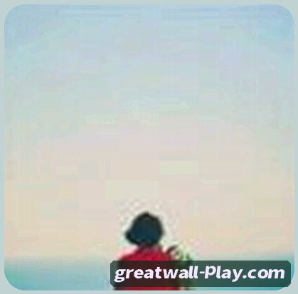 陈总